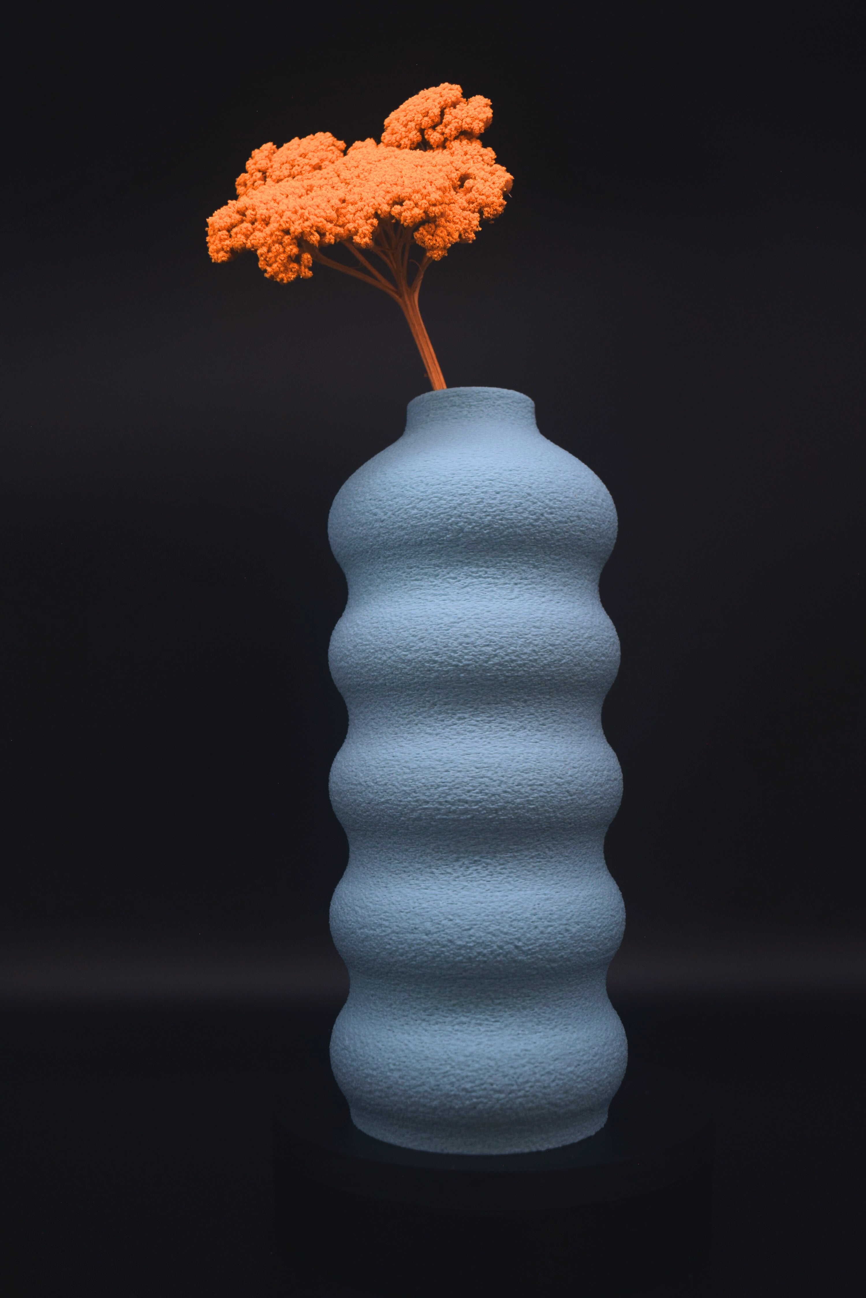 SUNNIA vase