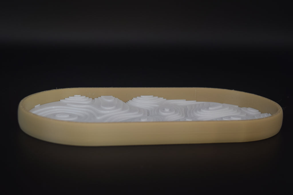 TOPO tray